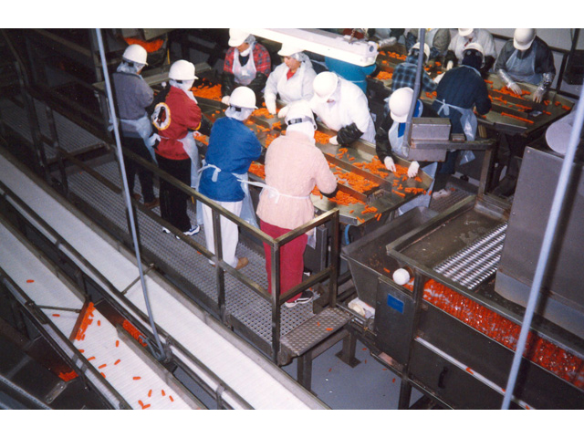 Ergonomic Work Mats in Food Processing Facility 